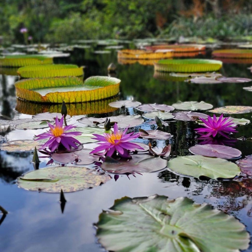 Meet your Posher, Kaylcey